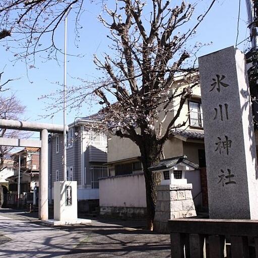 池袋氷川神社 地域の鎮守 池袋氷川神社 春には参道に桜が咲き綺麗です