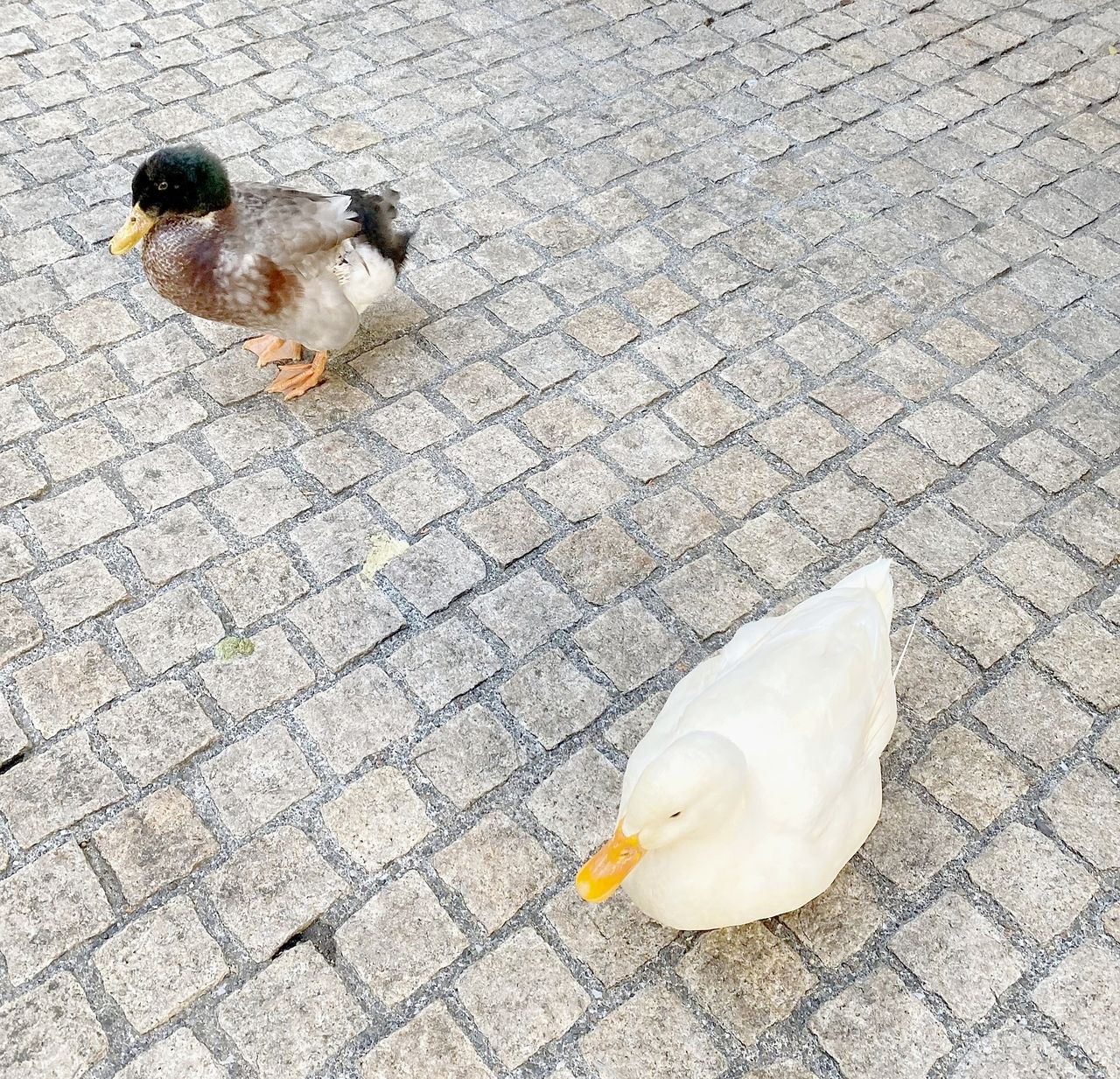 ココロとカラダの休息期間