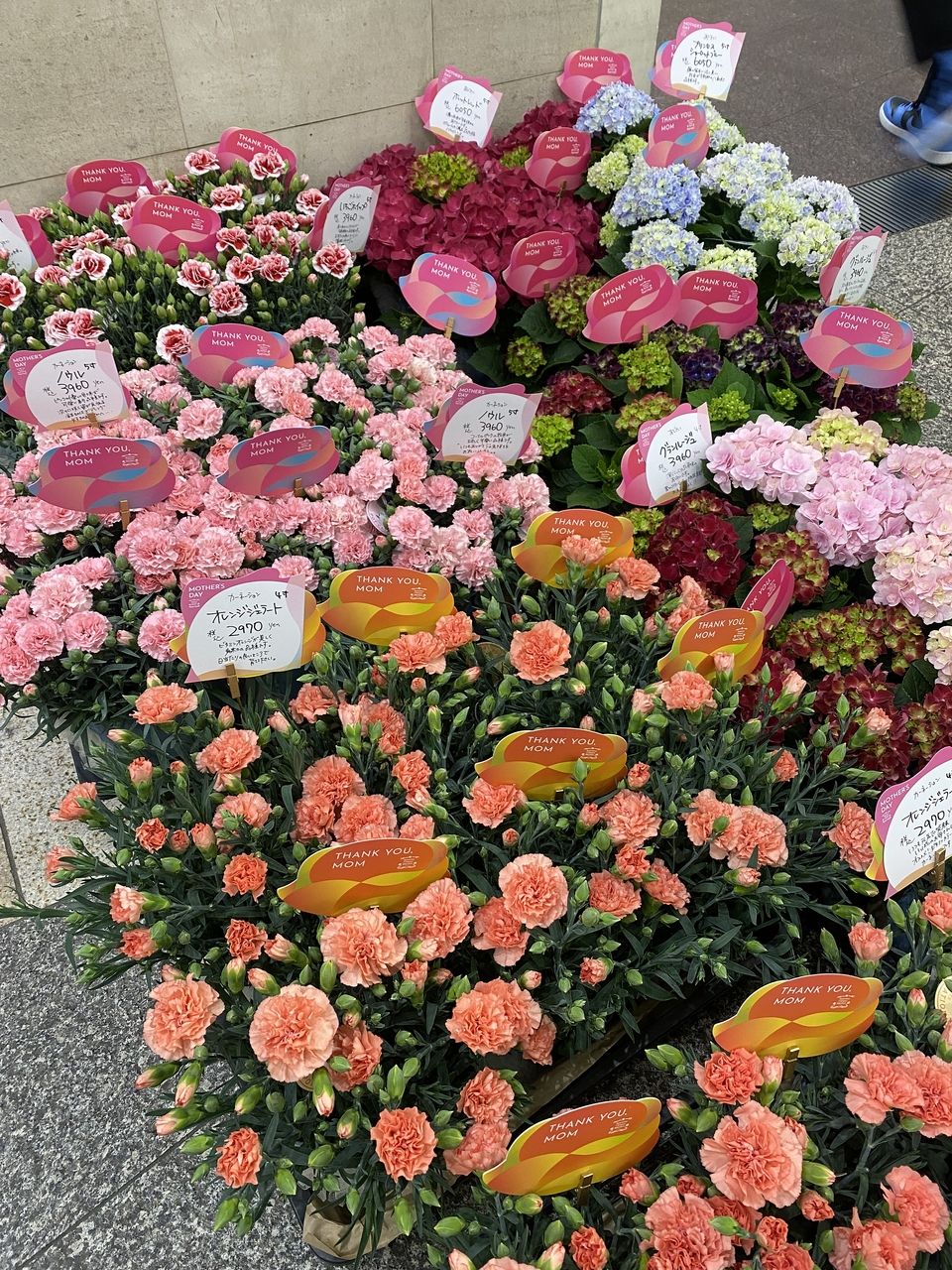 ありがとうの感謝に包まれた休日