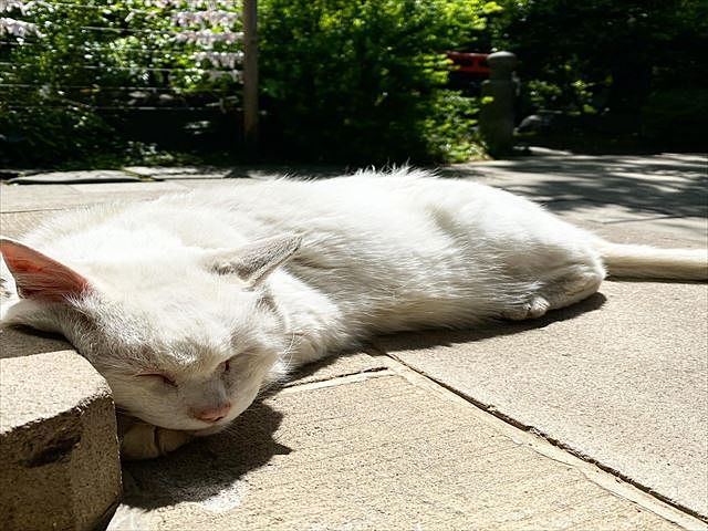 雨季の6月はお掃除月間