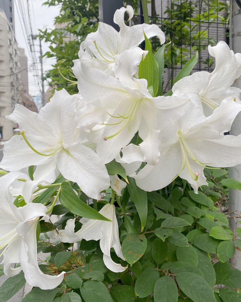 息抜きブログ